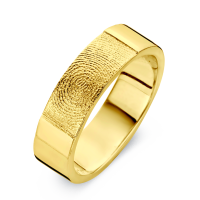 True gold yellow/yellow