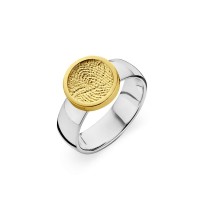 ring, fingerprint, fingerabdrück, vingerafdruk, bliss 1, gold, goud, yellow, white,